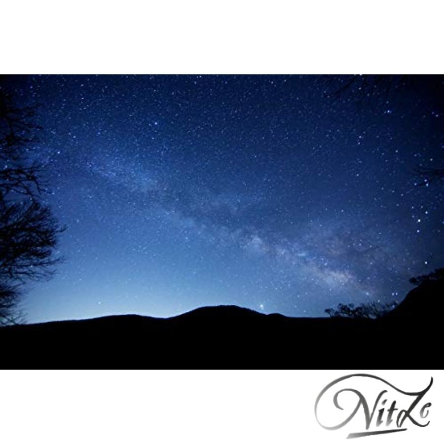 【初期/レア】 Vixen ポータブル赤道儀 星空雲台ポラリエ(WT) ホワイト 355051 【HO6609622570】(23717円)