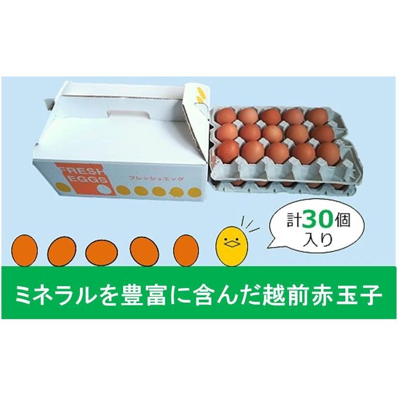 養鶏場直送♪新鮮な玉子（たまご） 卵 今日一くん 30玉入り : 庭の