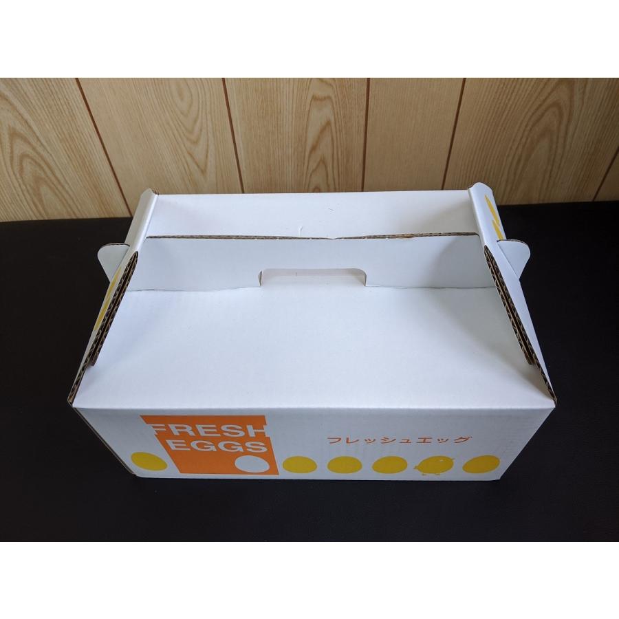 養鶏場直送♪新鮮な玉子（たまご） 卵 今日一くん 30玉入り : 庭