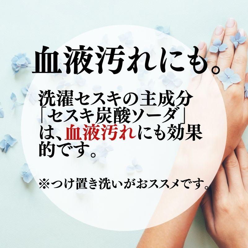 洗濯用セスキプラス 600g 6個 無添加 洗濯 洗剤 敏感肌 界面活性剤不