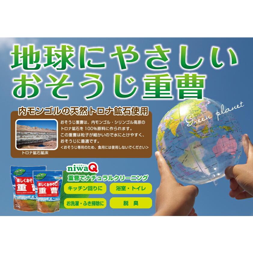 楽しくおそうじ 重曹 600g 重曹 無添加  キッチン 掃除 コゲ落とし 油汚れ 消臭 丹羽久｜niwakyu｜03