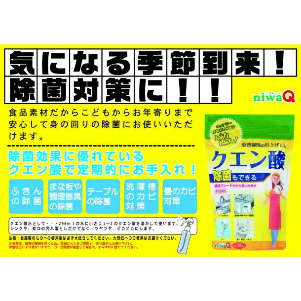 クエン酸 250g 5個 ドリンク 疲労回復 食用 無水クエン酸 除菌 消臭 無添加 風呂 トイレ ヤニ キッチン 水垢 水あか｜niwakyu｜03