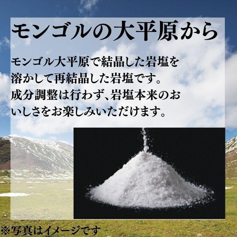【業務用1kg】天外天塩 1kg 20入 内モンゴル産岩塩 さらさら微粒 ミネラル まろやか うま味 無添加