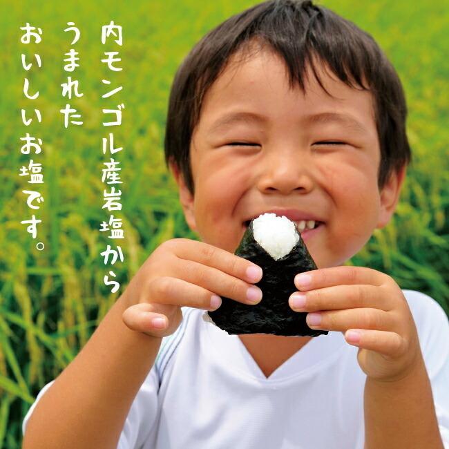 【業務用1kg】天外天塩 1kg 20入 内モンゴル産岩塩 さらさら微粒 ミネラル まろやか うま味 無添加