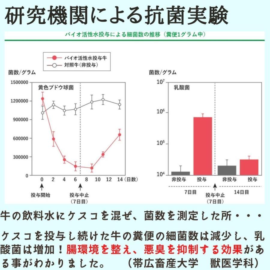 大容量 ケスコつめかえ用 4L　消臭剤 スプレー 無香料 消臭スプレー 無添加 靴 タバコ ゴミ箱 介護