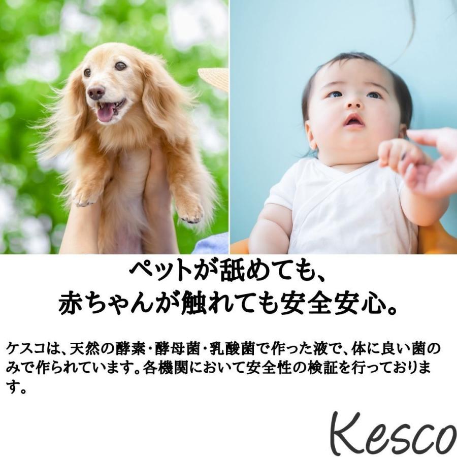 大容量 ケスコつめかえ用 4L　消臭剤 スプレー 無香料 消臭スプレー 無添加 靴 タバコ ゴミ箱 介護