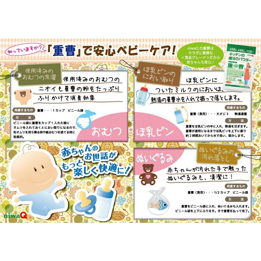 重曹ボトル 390g 食用 重曹 無添加 シリンゴル 食品添加物 キッチン お掃除 コゲ落とし 油汚れ 消臭 膨らし粉 アク抜き Zyuusoubotoru 自然派クリーナーと消臭の丹羽久 通販 Yahoo ショッピング