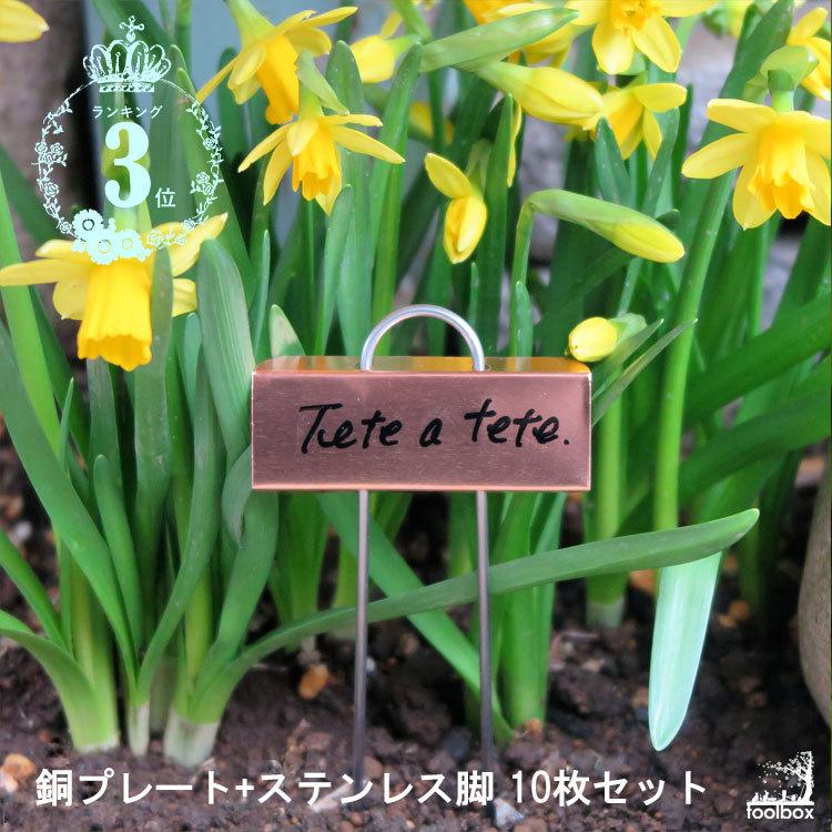 ミニチュア プランツラベル 銅製プレート ステンレス脚 10枚セット