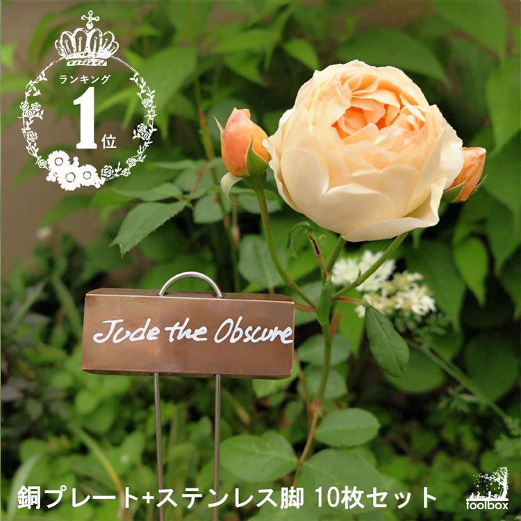 コパーローズラベル 銅製プレート ステンレス脚 ローズプランツラベル