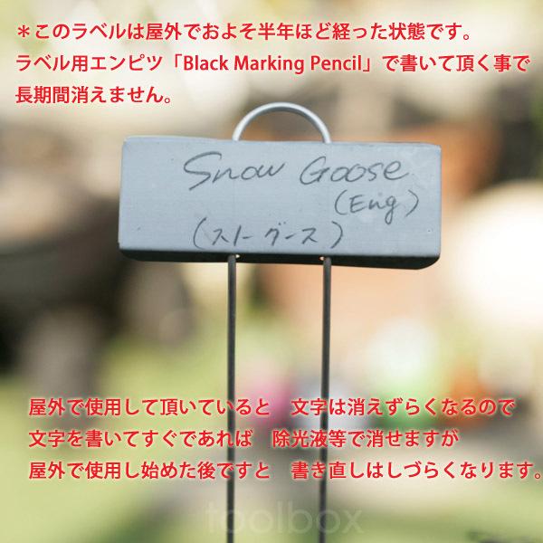 ミニチュアプランツラベル 10枚セット 亜鉛製プレート ステンレス脚