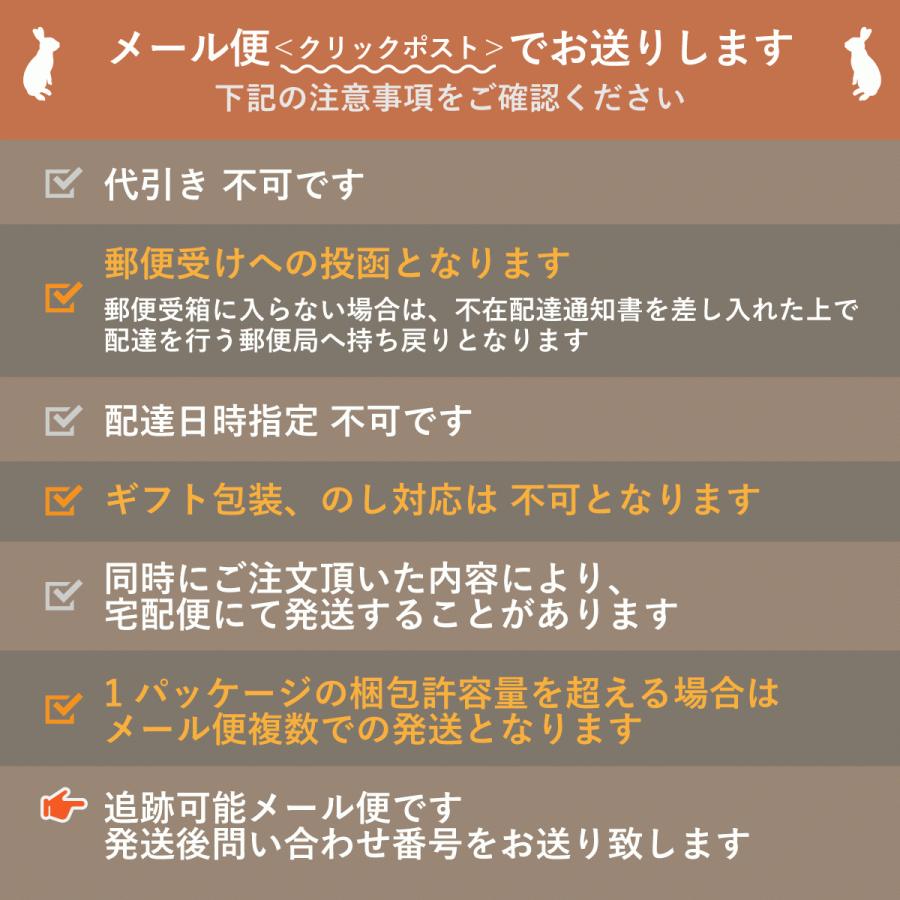 ローズラベル（10枚1組）園芸ネームラベル 園芸用ラベル プラントマーカー プランツタグ 亜鉛製プレート ステンレス脚 ローズプランツラベル 10枚セット｜niwatoolbox｜09