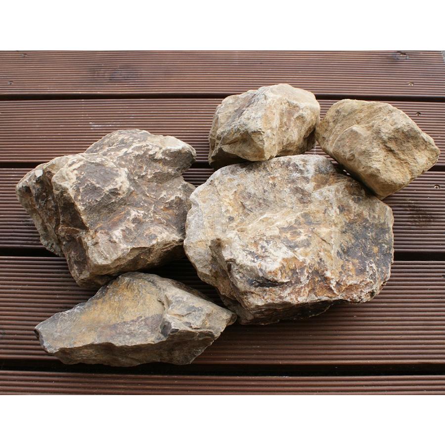 おがせ石 日本産 約10kg （目安：約5〜8個程度） ロックガーデン ミニ