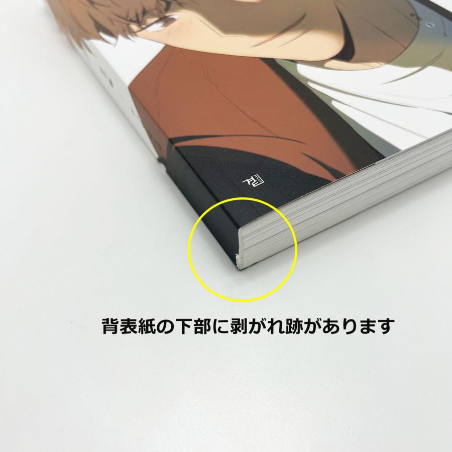2862円均一】現品限り☆お宝わけあり品 韓国語 まんが『同情のカタチ