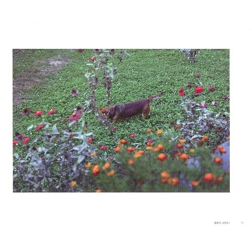 韓国の写真集 『お嬢さんのそばに』 - The Handmaiden Photo Book 著