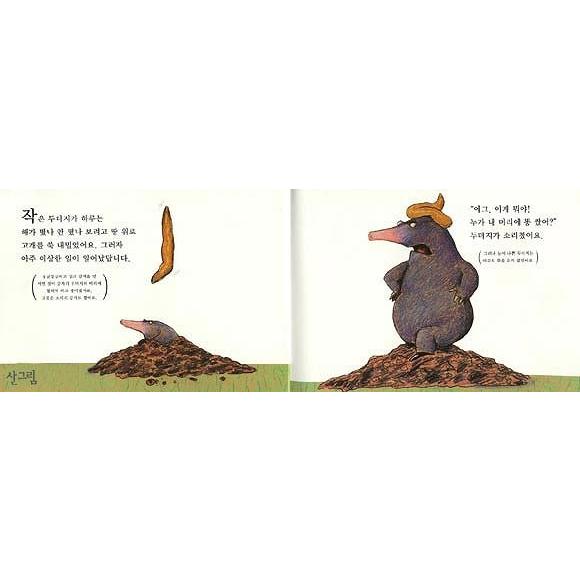 韓国語の絵本/ハングルの絵本 だれがぼくのあたまにウンチした