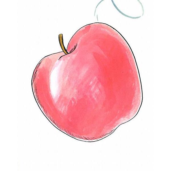 幼児向け 絵本セット 3冊 りんごがドスーン・どうよう・しかけ絵本 しかけ絵本 りんごのふしぎ ほか：3冊セット』 : くうねる堂 - 通販
