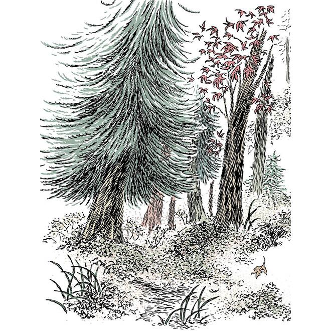 韓国語 絵本 『モの物語（モ・ストーリー）』 - 森の中の冒険 著：チェ