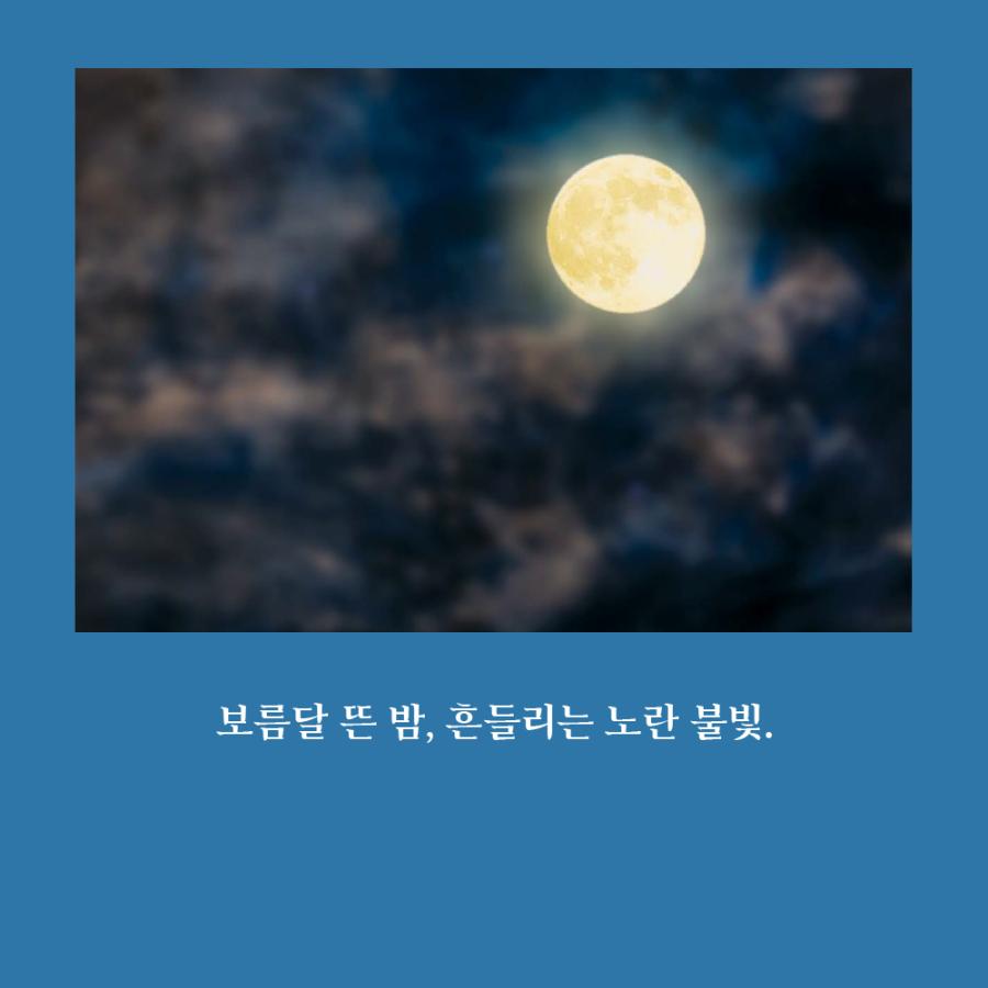 韓国語 絵本/ハングル 絵本『あなのみつ（穴のシロップ 穴の蜜