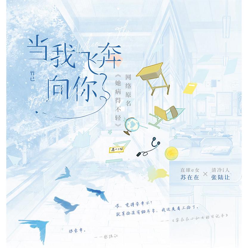 中国語 小説『当我飛奔向爾 When I Fly Towards You』著：竹已