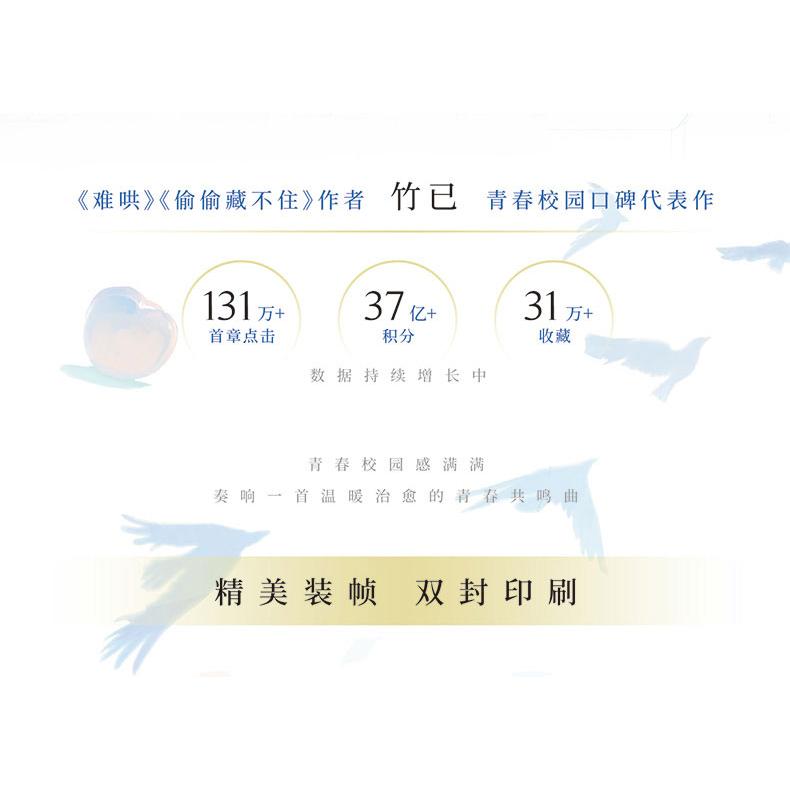 中国語 小説『当我飛奔向爾 When I Fly Towards You』著：竹已