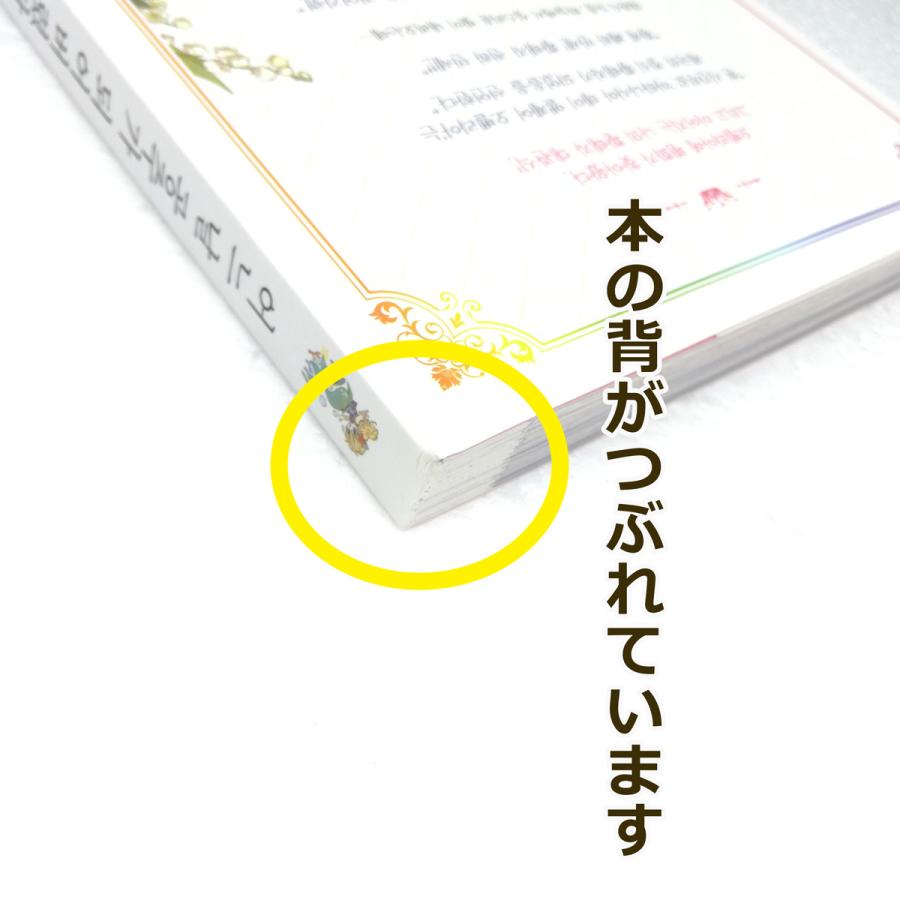 【韓国まんが完結セット】ある日、お姫様になってしまった件について　1〜9巻セット ある日、お姫様になってしまった件について 韓国版 ある姫 豪華限定