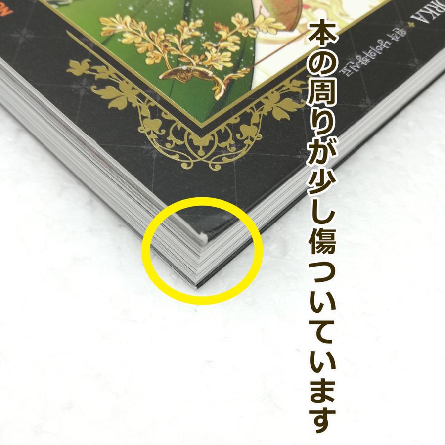 1048円コーナー】お宝☆わけありセール 韓国語 まんが 『ある継母の