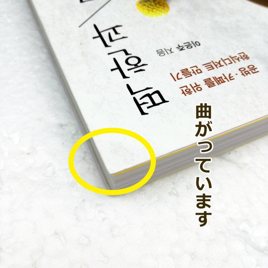 ★わけあり値引き★韓国語 デザート 本 『餅・韓菓のレッスン - 工房・カフェのための韓国式デザートを作る』 著：イ・ウンジュ｜niyantarose｜02