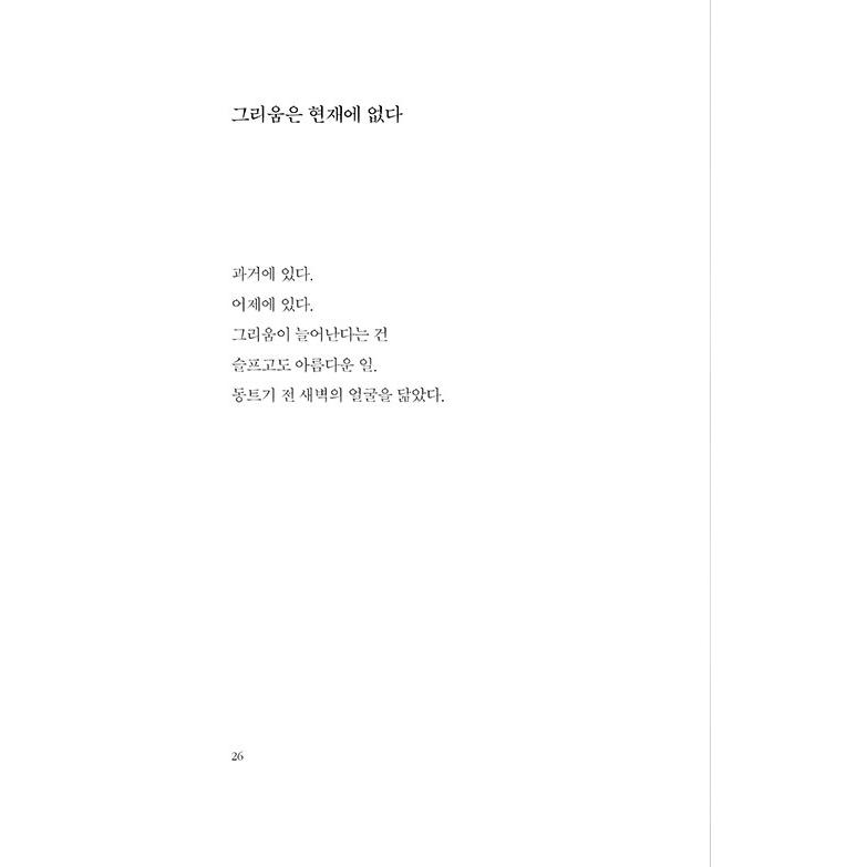 韓国語 写真エッセイ『未完の記録』著：リエ｜niyantarose｜15