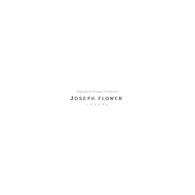 韓国語 フラワーアレンジメント エッセイ『ジョセフフラワー JOSEPH 