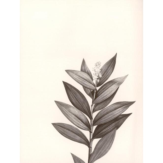 花の香り（ハングル書） 韓国語 フラワーアレンジメントの本『KEIRA FLEUR ケイ