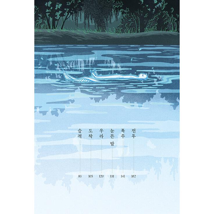 韓国語 小説・童話『水妖の森』 著:廣嶋玲子(韓国版 韓国語 小説・童話『水妖の森』 著:廣嶋玲子(韓国版