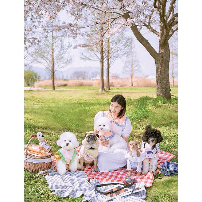 ぶも ハンドメイド犬服 韓国語 裁縫 本 『モモブティックの四季の犬の服づくり』 著：ソ
