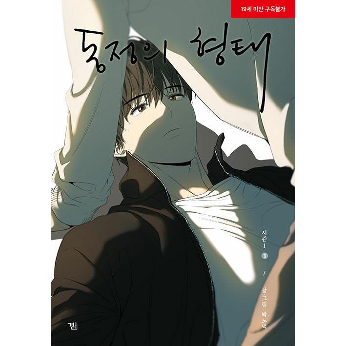 完売（アクリルスタンド付き限定セット）韓国語 まんが『同情のカタチ