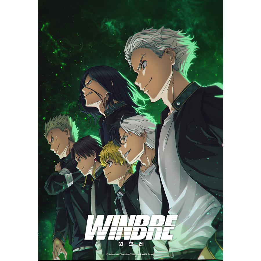 韓国 コミック グッズ『WIND BREAKER ウィンドブレイカー シークレット
