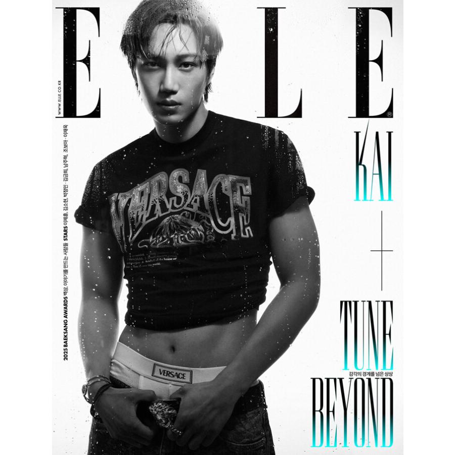 韓国 雑誌 ELLE Korea 2025年 6月号 (EXOのカイ表紙) Aタイプ : にゃん