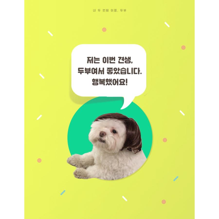 韓国犬系男子様 リクエスト 2点 まとめ商品 サンスター文具 韓国犬系男子様 リクエスト 2点 まとめ商品