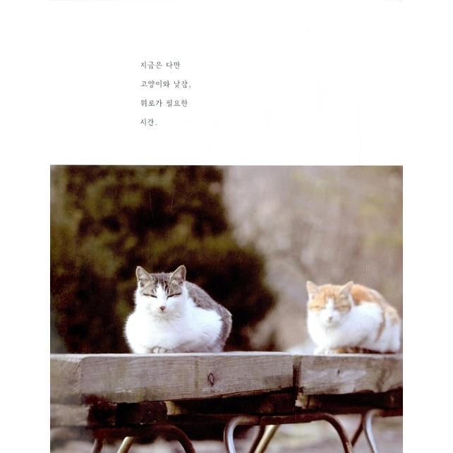 韓国語の写真エッセイ　『どうしよう、ネコだからやることいっぱいなんだけど』著：イ・ヨンハン｜niyantarose｜15