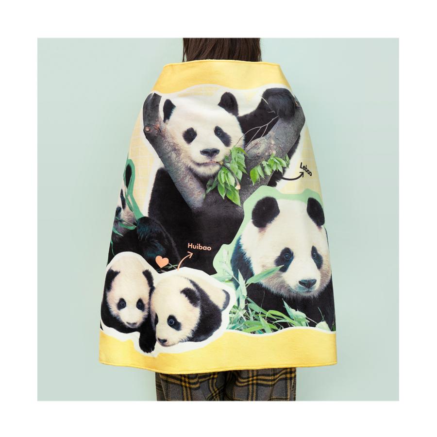 韓国 グッズ 『バオファミリー 毛布』フーバオ （福宝） : にゃん