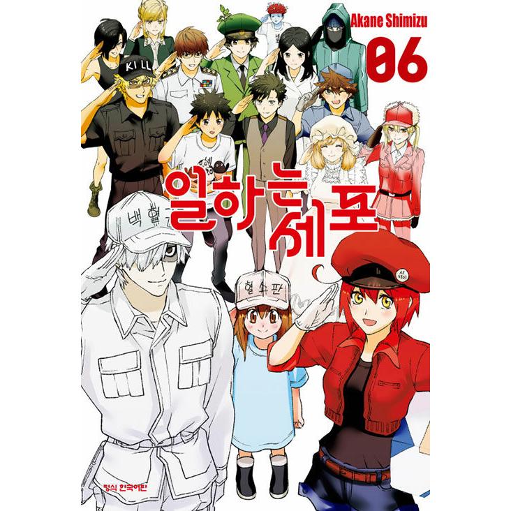 韓国語 まんが 『はたらく細胞(6)ー完結ー』著： 清水 茜（韓国版 