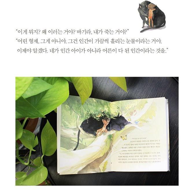 韓国語の童話/ハングルの童話　ジャングル・ブック 〜美しい古典シリーズ 27 絵：キム・ミンジ｜niyantarose｜15