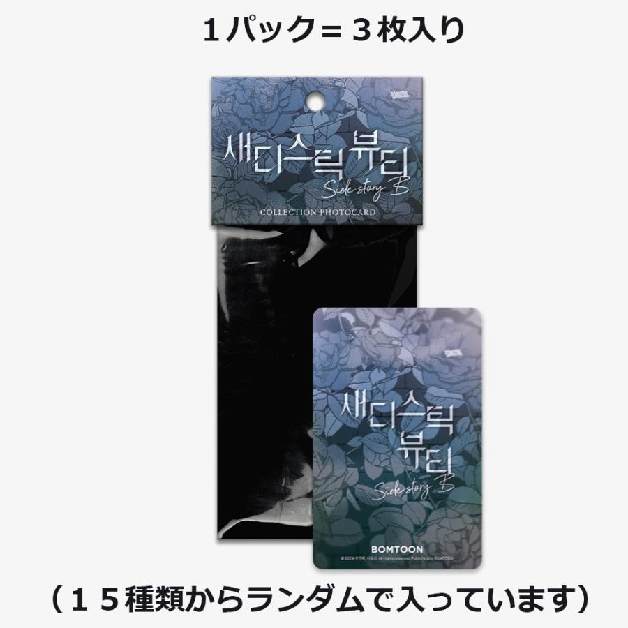 コミック グッズ『サディスティック・ビューティー：外伝B（真田・辺見