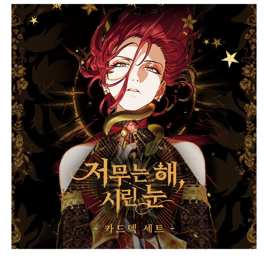 韓国 コミック グッズ『沈む太陽、凍てつく瞳 カードデック セット
