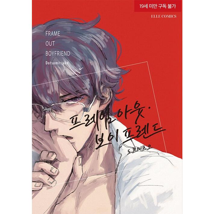 韓国語 まんが『フレームアウト・ボーイフレンド』著：どつみつこ