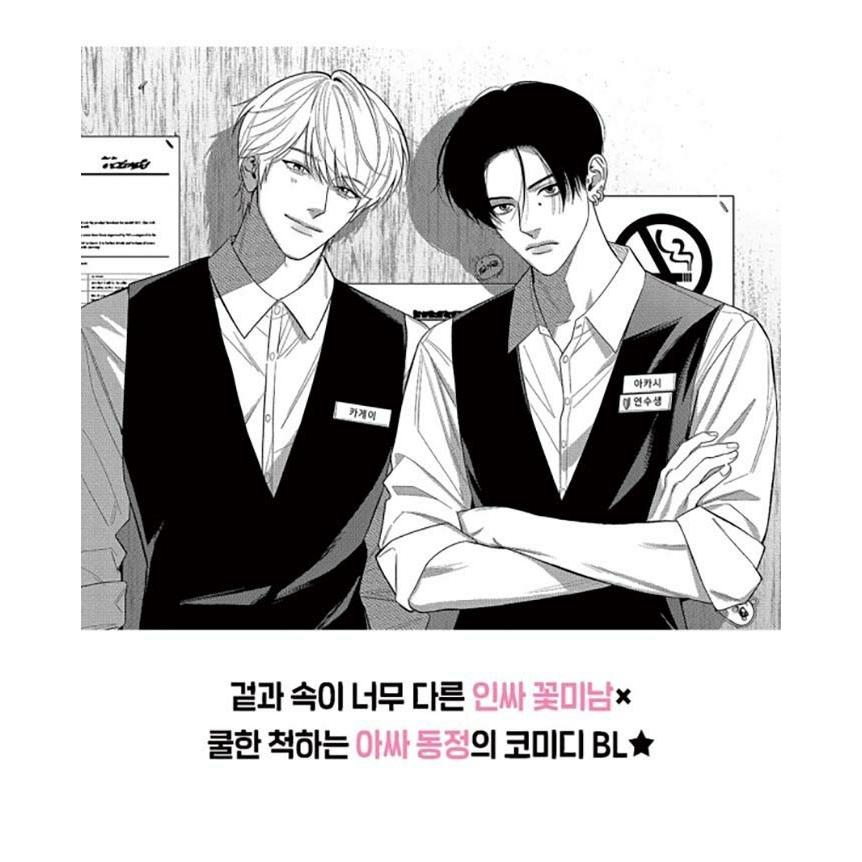 特装版】韓国語 まんが『針鼠とコントラスト(1)』著：ほとなか（韓国版