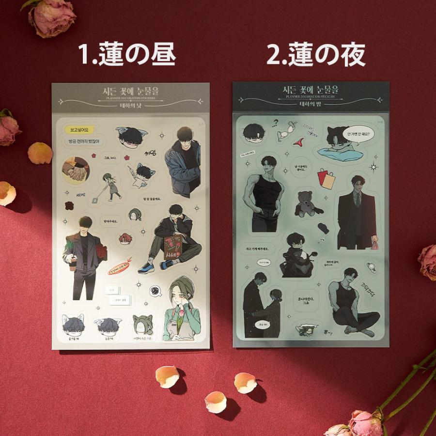 カネコアヤノ CD ポストカード レシート ステッカー カネコアヤノ CD ポストカード レシート ステッカー