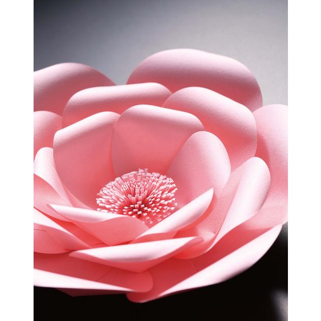 韓国語 工芸 『紙の花を咲かせる』 - 手作りのペーパーフラワー 50 著