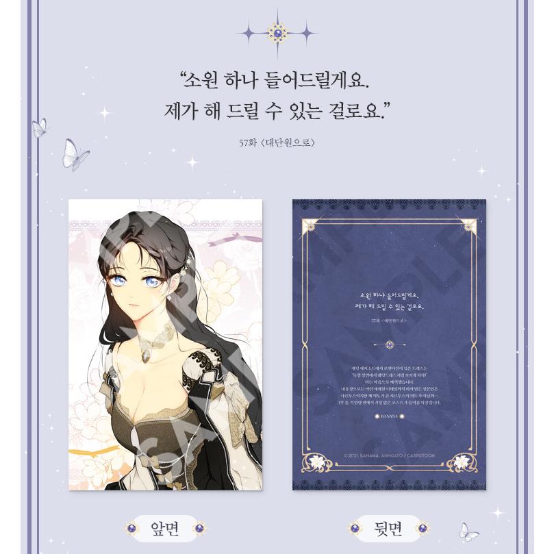 韓国 コミック グッズ『シークレットレディ イラスト解説カード12種