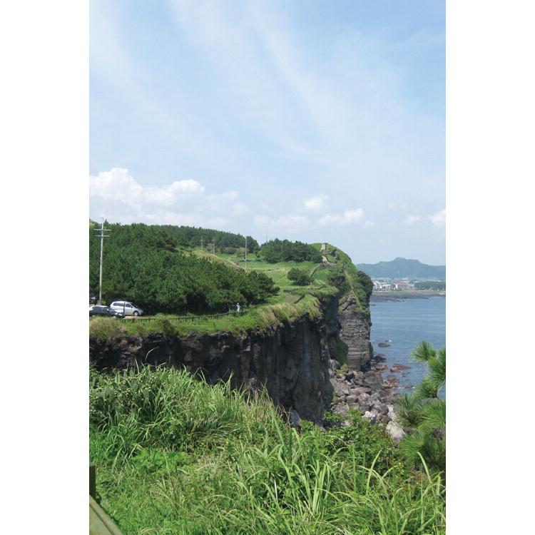 韓国書籍 済州島旅行ガイドブック ENJOY こんどは チェジュ : にゃん