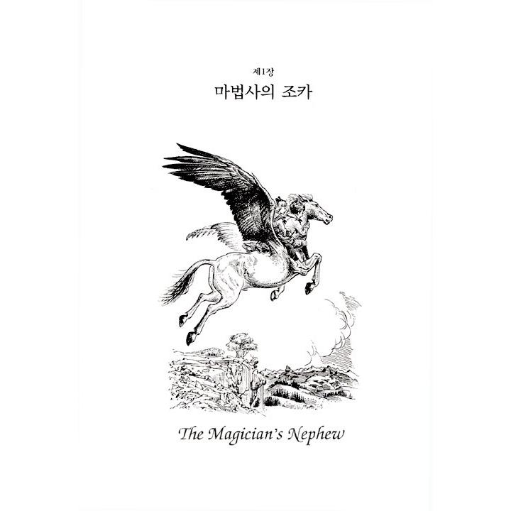 韓国語の小説 『ナルニア年代記』 著：C.S.ルイス（韓国版/ハングル） | ブランド登録なし | 03