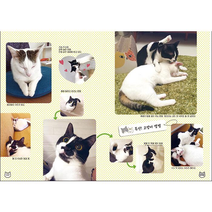 韓国語 コミックエッセイ『うちの猫がまた変なことしてる。(2 韓国語 コミックエッセイ『うちの猫がまた変なことしてる。(2